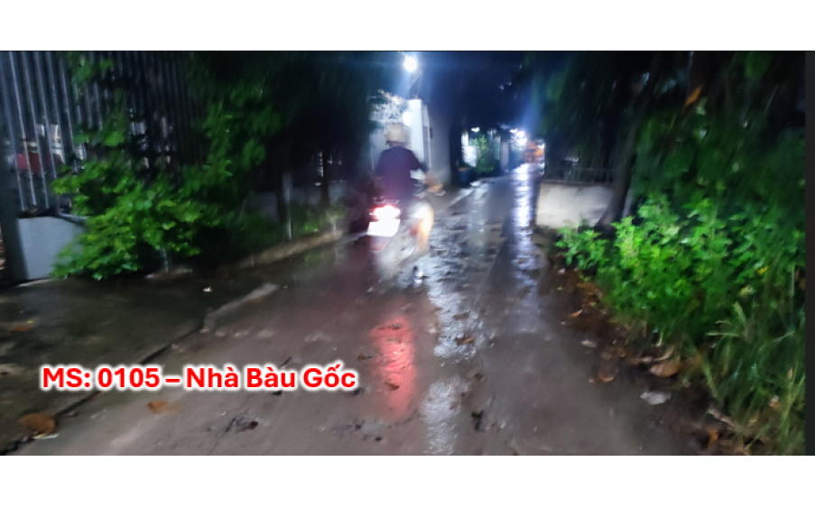 Bán nhà đường Bàu Gốc Tân Kiên Bình chánh